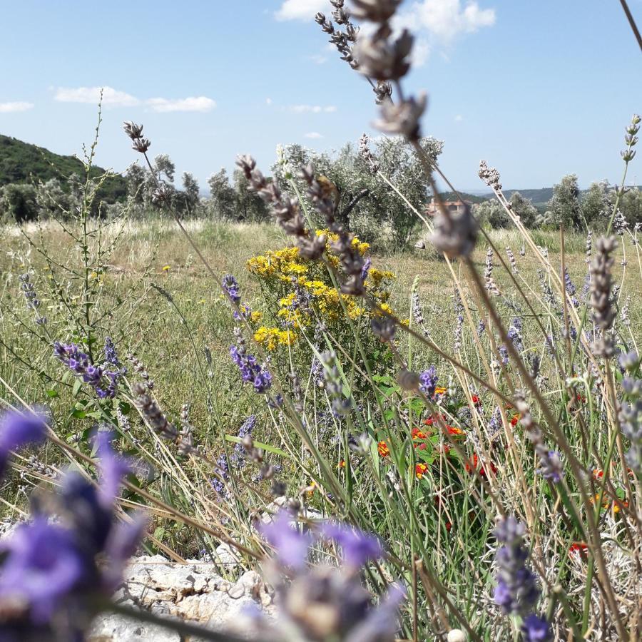 Agriturismo Poggio Falco Batignano Zewnętrze zdjęcie