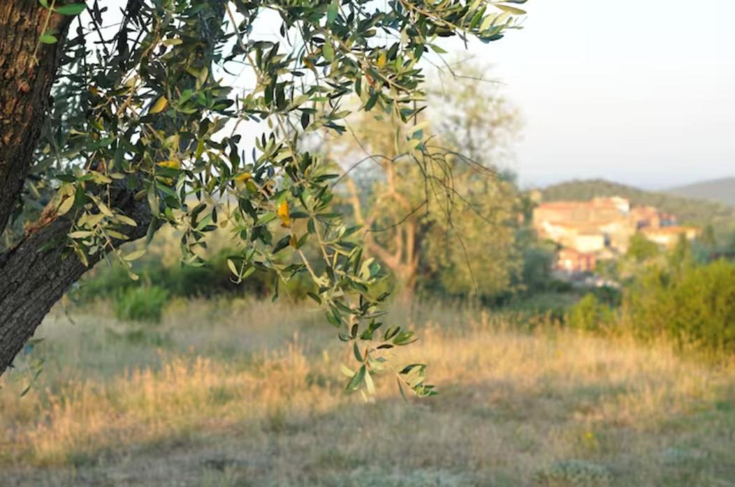 Agriturismo Poggio Falco Batignano Zewnętrze zdjęcie
